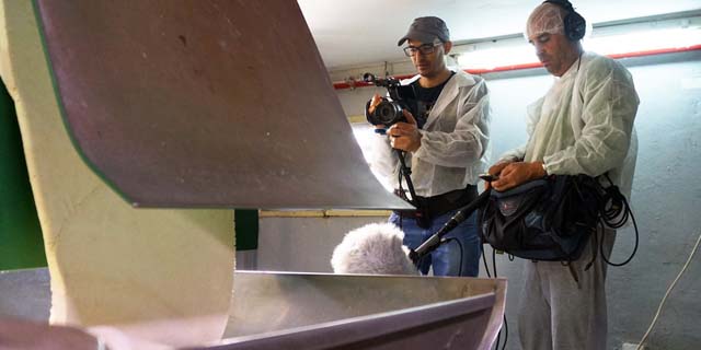 הפקת סרטון לעסק